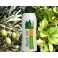 Λοσιόν Σώματος "Μastic bio oils & herbs" με μαστίχα και βιολογικά έλαια 300ml 