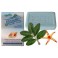 Blue Mirovolos soap with mastic 
